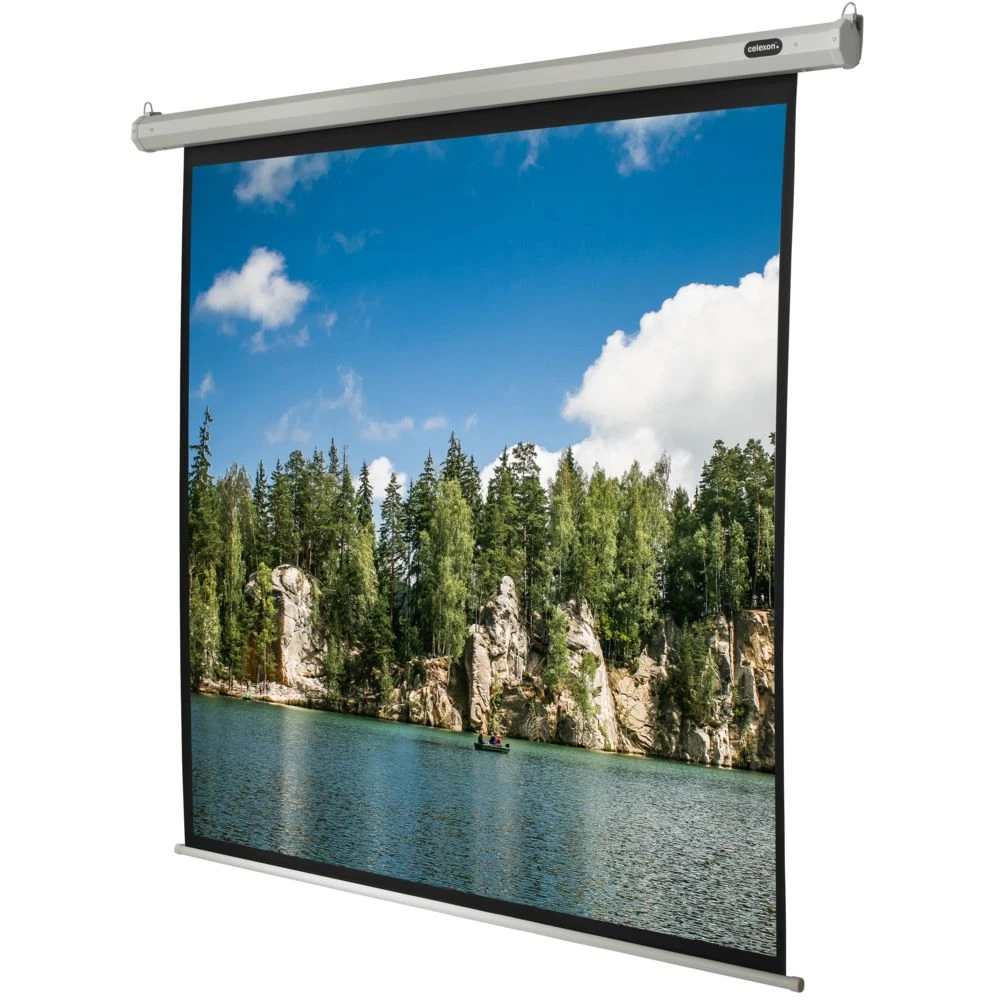 Ecran De Projection Celexon Economy Motorisé 160 X 160 Cm